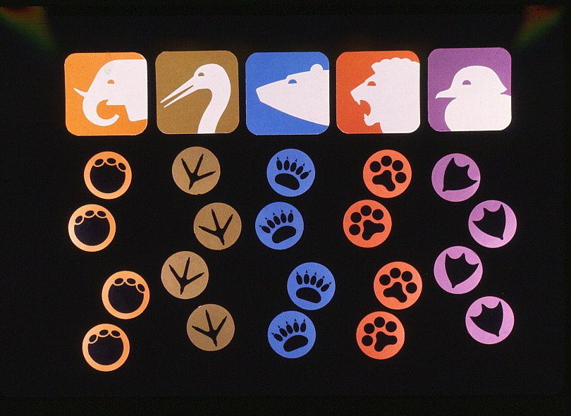 footprints of various animals beneath their respective symbols