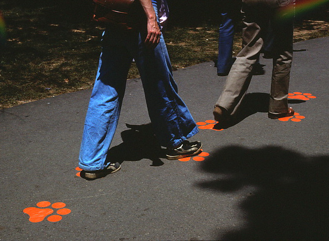 People walking over a trail with colored paw prints on it