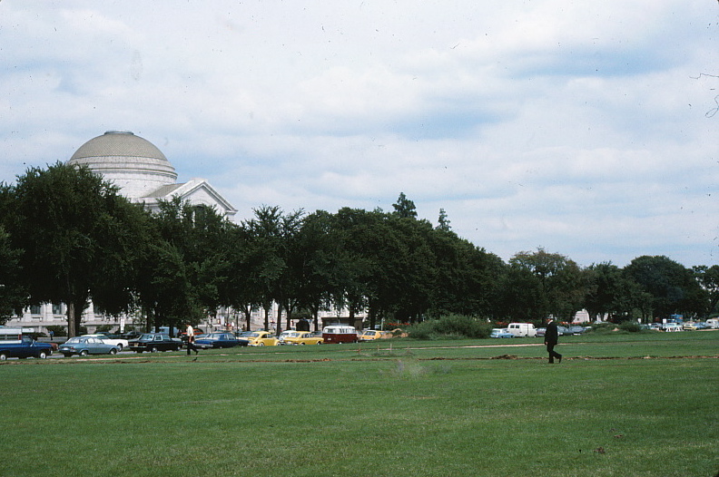 Mall lawn and trees