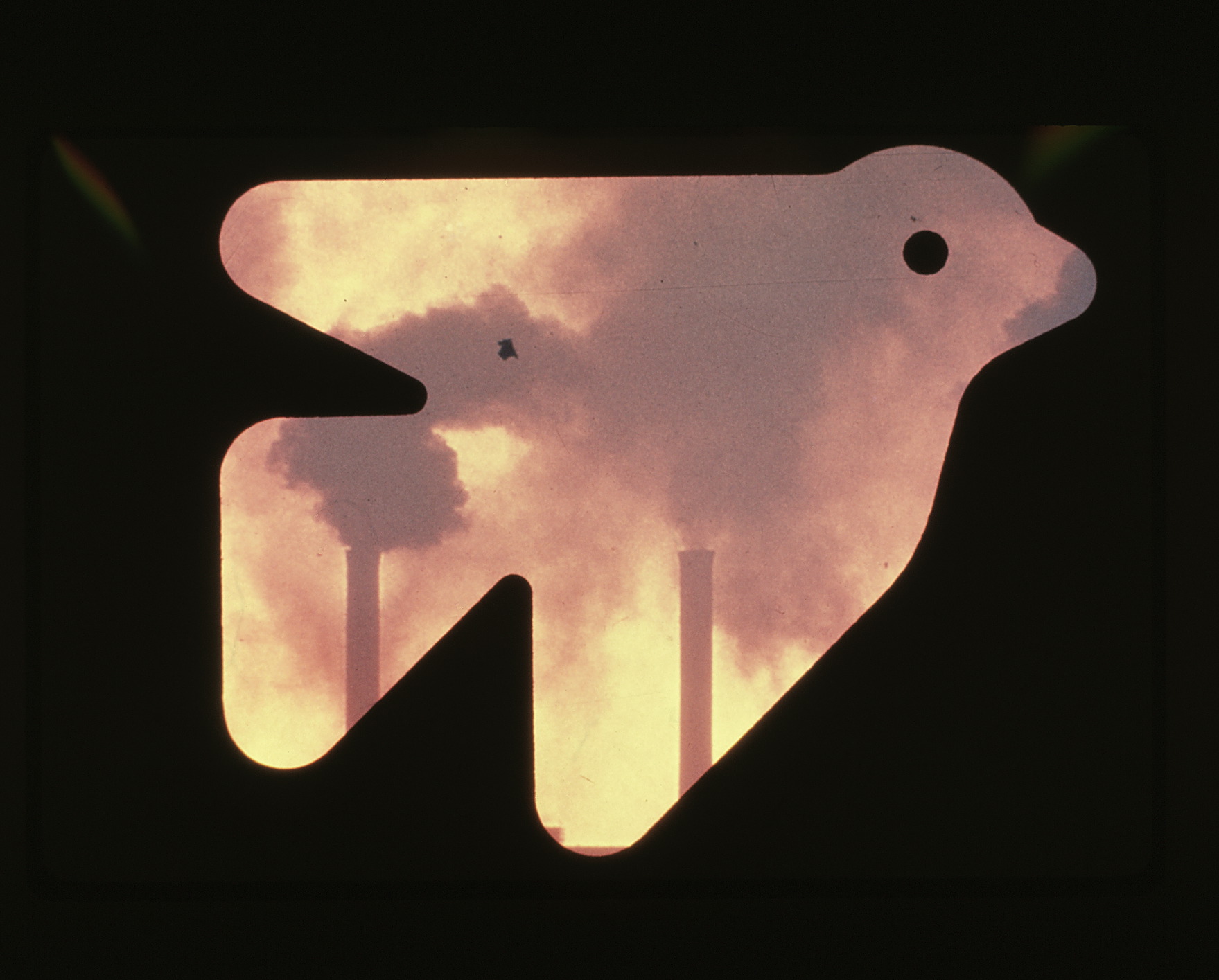 Pictogram of bird, with smoggy sky